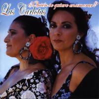 Portada de Aquella vieja medalla