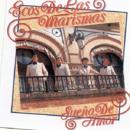 Portada de Te fuiste con la aurora