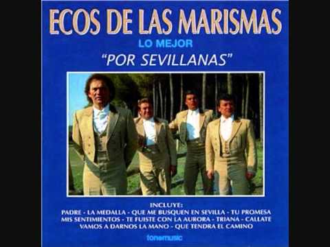 Portada de Tu simpecao y el mío